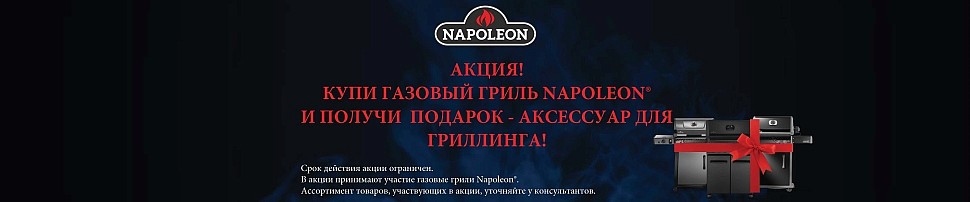 Газовые грили Napoleon в Таганроге